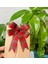 Pinterest Toka 1