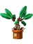 76433 LEGO Harry Potter - Adamotu - Mandrake 579 Parça +10 Yaş 2