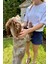 Unisex I Prefer Dogs Over People Bisiklet Yaka %100 Pamuk Rahat Kalıp Kısa Kollu Basic Beyaz T-Shirt 1