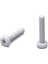 M2X6 Ysb Plastik Vida (25 Adet) 2