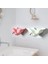 Beyaz Stil Alevli Sis Kutusu Sabunluk Banyo Duş Sabun Tutucu Sünger Saklama Tepsisi Banyo Malzemeleri Banyo Aleti (Yurt Dışından) 4