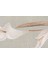 Gala Runner 50x170 2