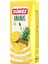 Ananas Aromalı Içecek Leaf Pkt 0.2l*27 Adet 1