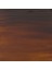 Amsterdam Akrilik Boya 120ML 409 Burnt Umber 2