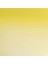 Professional Sulu Boya 5ml Lemon Yellow (Nickel Titanate) 347 S.4 2
