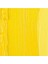 Yağlı Boya 40 ml Permanent Yellow Light 2