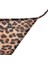 Fall in Love Leopar Desenli Tül Slip Külot D5603AX24AU 3