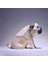 3D Origami Hayvan Oyuncak Süsü - Pug (Köpek) (Yurt Dışından) 3
