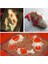 6 Koi Balığı Stili 3D Plastik Balık Kek Çikolata Kalıbı Jöle El Yapımı Şeker Hamuru Kalıbı Dıy Sıcak Pişirme Araçları El Yapımı Sabun Kalıbı Balık Çatal Kuyruk (Yurt Dışından) 3