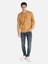 Regular Fit Baskılı Kapüşonlu Sarı Erkek Sweatshirt Cl1064608 3