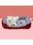 Bordo Tarzı 42X30 cm Sıcak Köpek Kulübesi Yumuşak Yastık Büyük Köpek Yatağı Sepetler Sonbahar Kış Kedi Için Yatak Yıkanabilir Ev Yavru Malzemeleri Pamuk Kulübe Mat (Yurt Dışından) 2