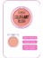 Color Art Blush Toz Allık - 180 Pink Perfection 2