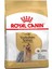 Yorkshire Terrier 28 Köpek Maması 1,5 kg 1