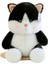 40 cm Yeni Şeftali Kedi Bebek Kedi Peluş Oyuncak (Yurt Dışından) 1