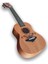 Concert Ukulele 2