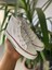 Beyaz Uzun Keten Sneaker Cnv Spor Ayakkabı Günlük Snekaer 1