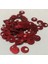 Patik ve Çanta-Cüzdan Pulu 10MM. 25GR. Kırmızı. 1