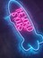 The World Is Yours Neon Led Tabela(80x30cm) 5