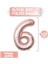 Büyük Rakam Balon Rose Gold 6 Yaş + Konfeti Pullu Şeffaf Balon ve Metalik Rose Gold Balon 4