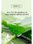 Nextbeau Ekstra Nemlendirici Rahatlatıcı Aloe Vera Sheet Mask 2