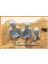 Düşünen Insanlar Biblo Gümüş Renk Model 1 Set 1