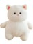 40CM Sevimli Karikatür Yavru Kedi Peluş Oyuncak Kedi Bebek Kız (Yurt Dışından) 1