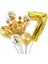 Altın Rakam Kral Taç Parlak (Krom) Balon ve Pullu Şeffaf Balonlu Set 1