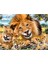 Prime 3D - Aslan Pelüş ve Selfie 48 Parça Puzzle 15803 4