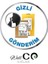Wellco Adult Isıtma Özellikli Masaj Yağı 5