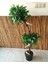 Yapay Top Benjamin Ağacı 2 Başlıklı Ficus Benjamia Beyaz Kuş Dekorlu Ağaç 1