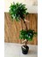 Yapay Top Benjamin Ağacı 2 Başlıklı Ficus Benjamia Beyaz Kuş Dekorlu Ağaç 2