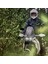 Outback 4 Motosiklet Montu 4