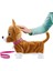 Yürüyen Corgi Köpeğim Lizzy 256519 3