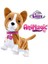 Yürüyen Corgi Köpeğim Lizzy 256519 5
