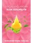 Bebek Pudrası Saç Parfümü Besleyici Ve Onarıcı Saç Bakım Spreyi Baby Powder Hair Perfume Spray 100ml 3