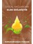 Vanilya Saç Parfümü Besleyici Ve Onarıcı Saç Bakım Spreyi Vanillian Dreams Hair Perfume Spray 100ml 3