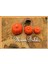 Mum Balkabağı Set2 5