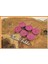 Tealight Mum Fuşya Renk Simli 6 Adet 3