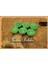 Tealight Mum Yeşil Renk Simli 6 Adet 1