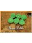 Tealight Mum Yeşil Renk Simli 6 Adet 5