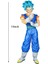 Vegetto Aksiyon Figürü, Anime Dragonball Süper Şekil Heykeli Heykelcik Koleksiyonu Dekorasyon Modeli Zarif Doğum Günü Hediyesi, 13-Inch (Yurt Dışından) 2