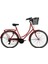Paradıse Kadın Şehir Bisikleti 54CM V 28 Jant Kırmızı Gri 1