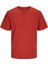 Erkek Jjeorganıc Basıc Tee Ss O-Neck Noos Tshirt-Kiremit 3