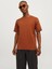 Erkek Jjeorganıc Basıc Tee Ss O-Neck Noos T-Shirt-Tarçın 1