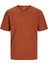 Erkek Jjeorganıc Basıc Tee Ss O-Neck Noos T-Shirt-Tarçın 3