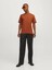 Erkek Jjeorganıc Basıc Tee Ss O-Neck Noos T-Shirt-Tarçın 4