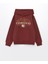 Lcw Kids Rahat Kalıp Kapüşonlu Erkek Çocuk Sweatshirt 1