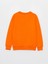 Lcw Kids Bisiklet Yaka Baskılı Uzun Kollu Erkek Çocuk Sweatshirt 5