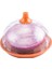 Buzdolabı Için Sebze ve Meyve Saklama Kapları, 2pcs, Yeniden Kullanılabilir Taze Gıda Saklama Kabı, Soğan, Domates Saklama Kabı ve Limon Saklama Kabı, Buzdolabı Sebze Sebzelik (Yurt Dışından) 1