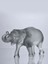 Lalique Glass Sumatra Fil 4
